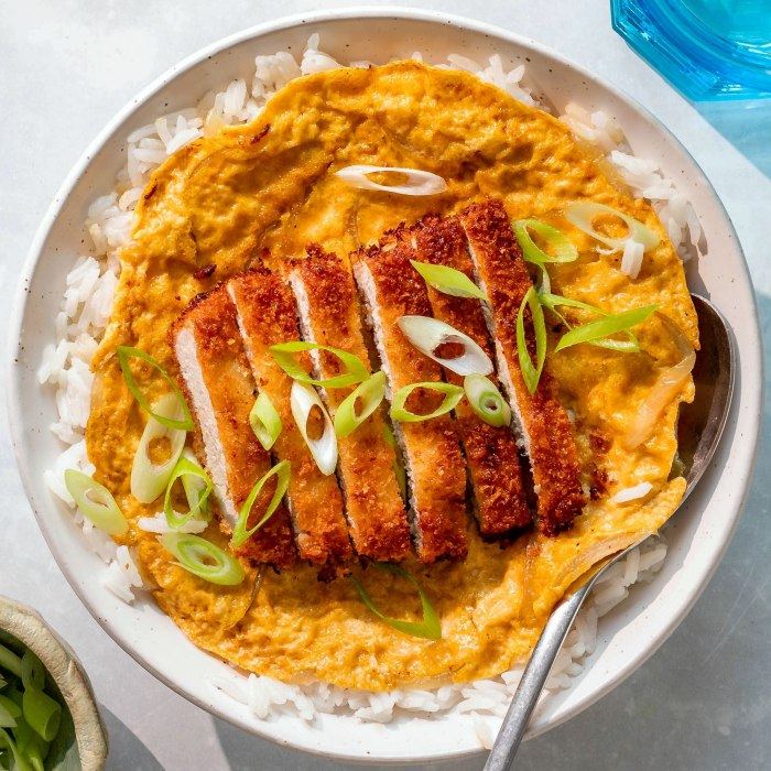 Japanisches Katsudon